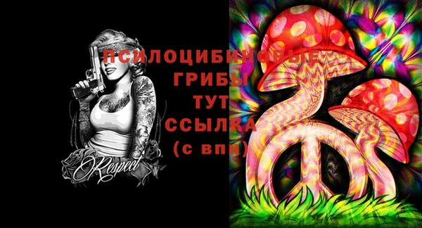 MDMA Белокуриха