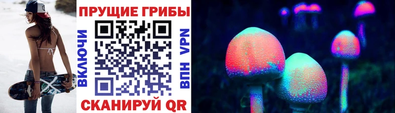 Псилоцибиновые грибы MAGIC MUSHROOMS  закладки  МЕГА как зайти  Видное 
